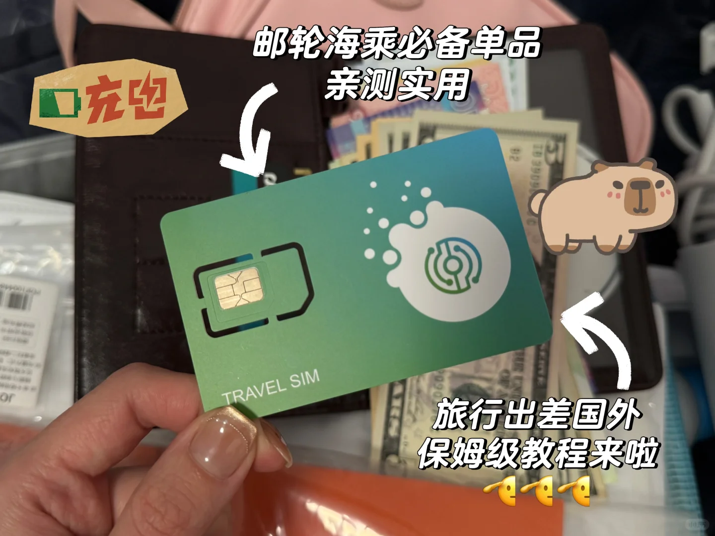 海乘分享篇|出国上网保姆级教程来咯