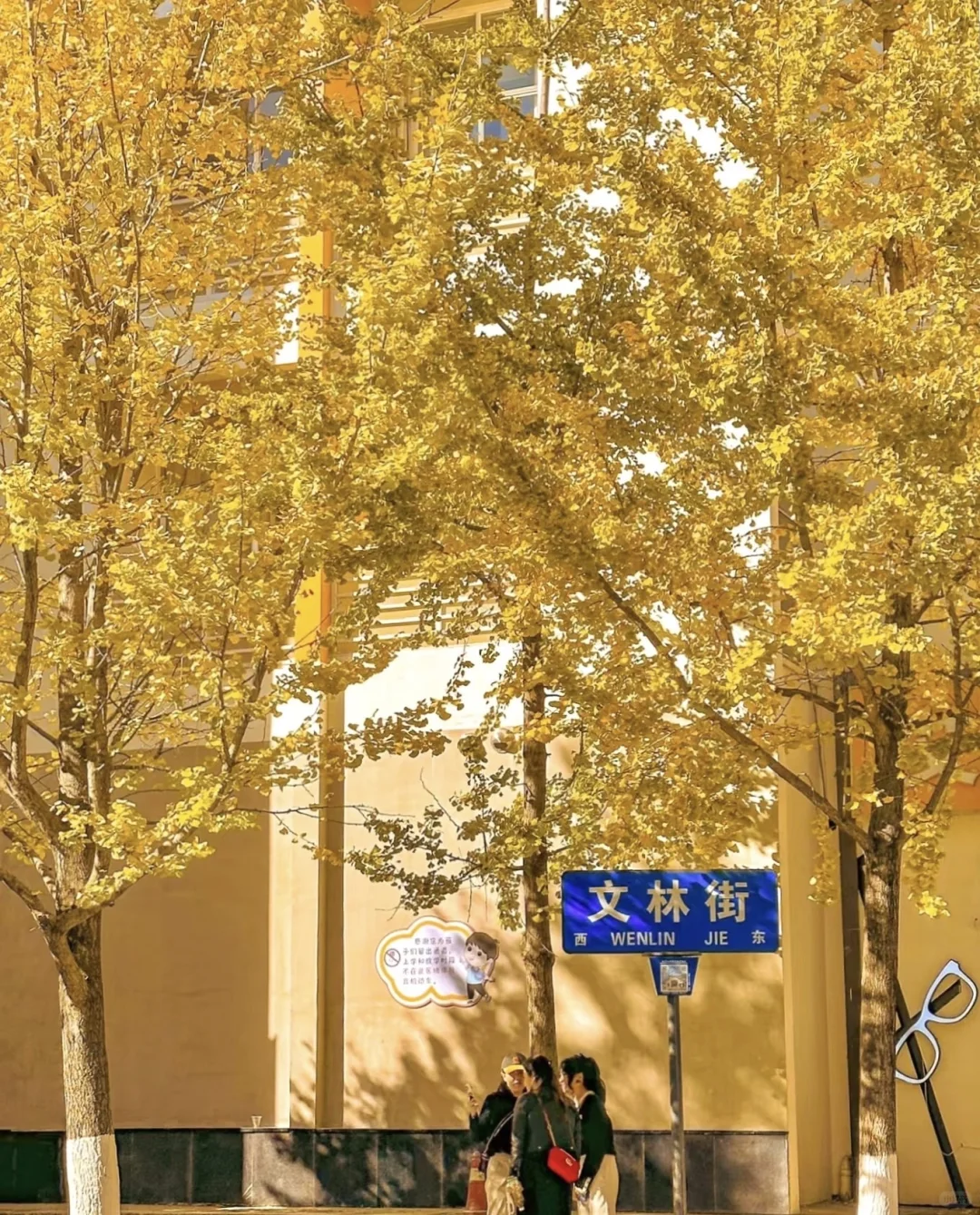 昆明必打卡景点文林街🍁