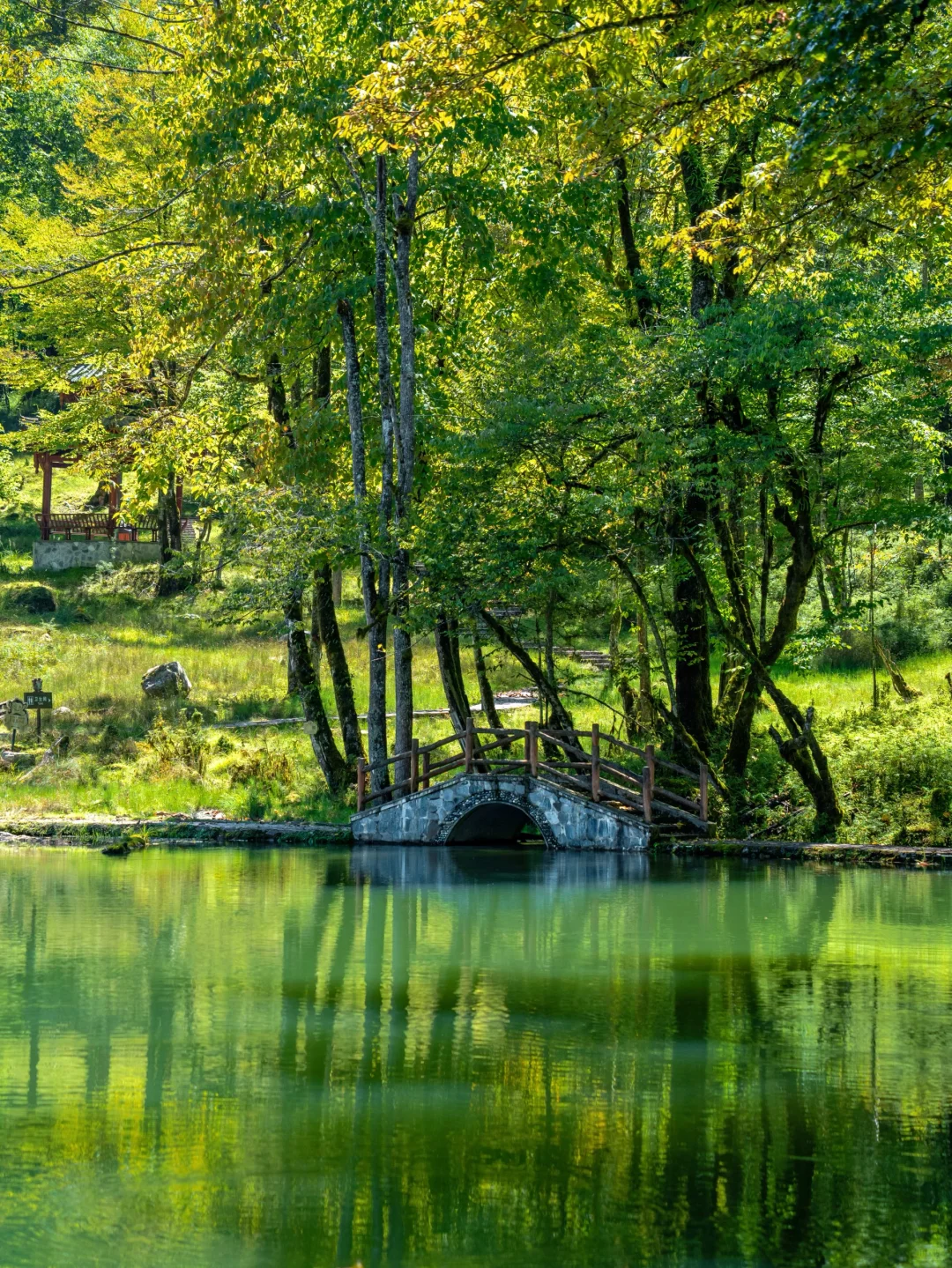 国庆反向旅游🍃成都出发3h抵达绿野仙踪