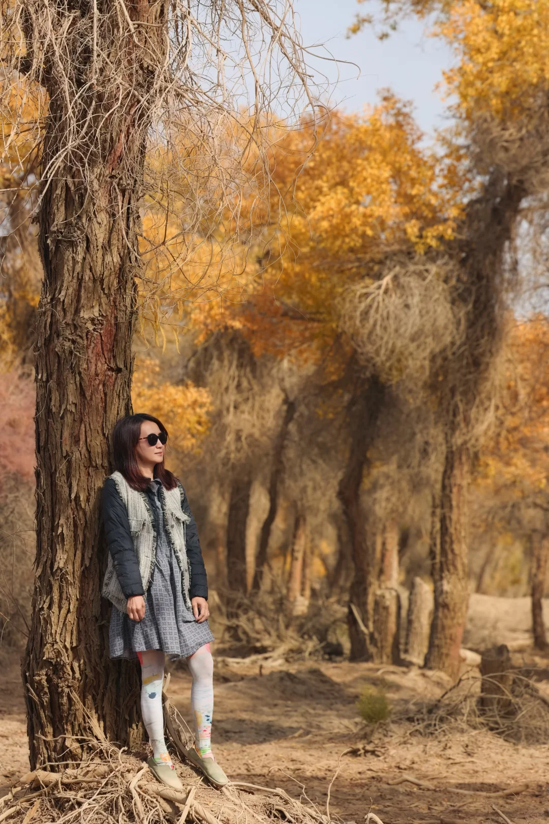 南疆139胡杨秘境自驾公路真的推荐！