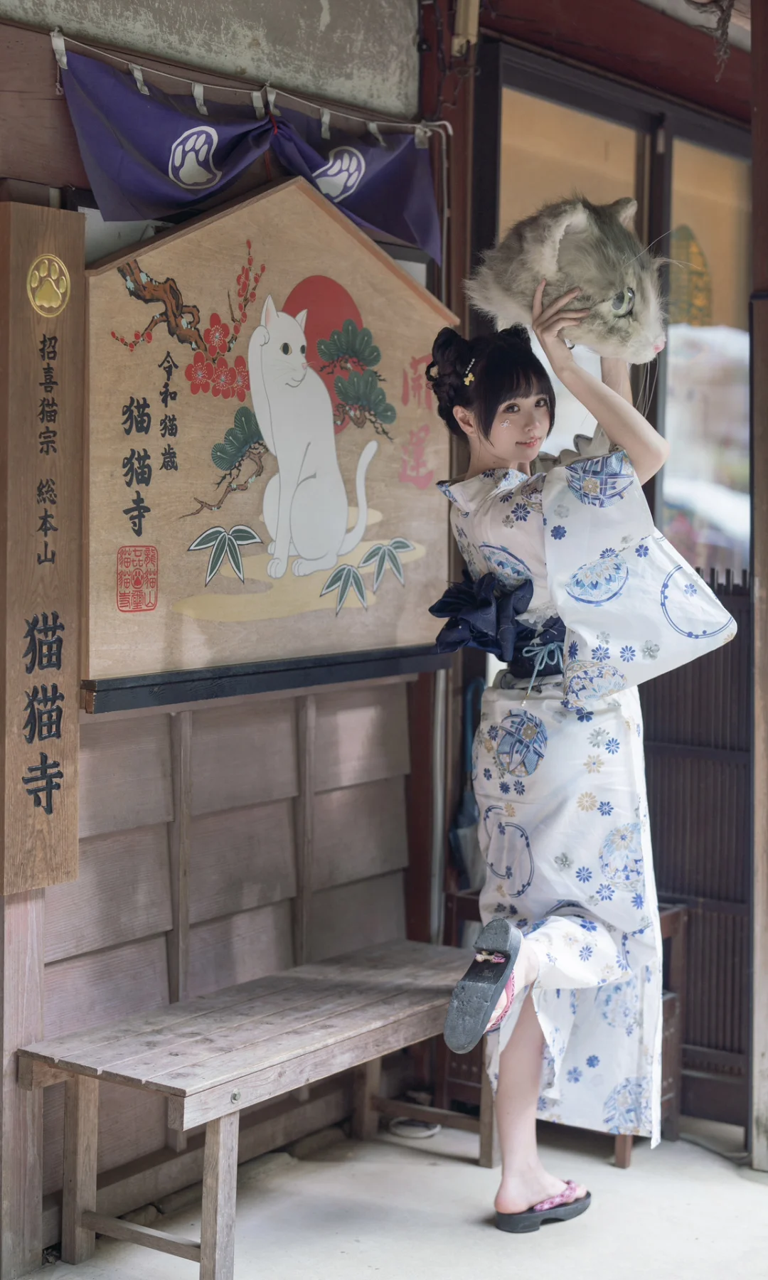 猫猫寺里见猫猫🐱