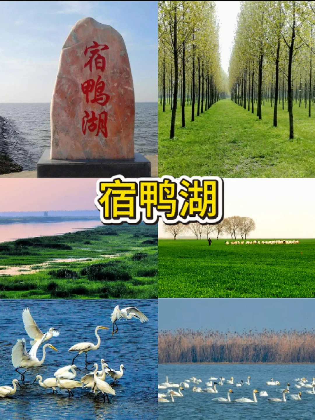 驻马店六大必去景点