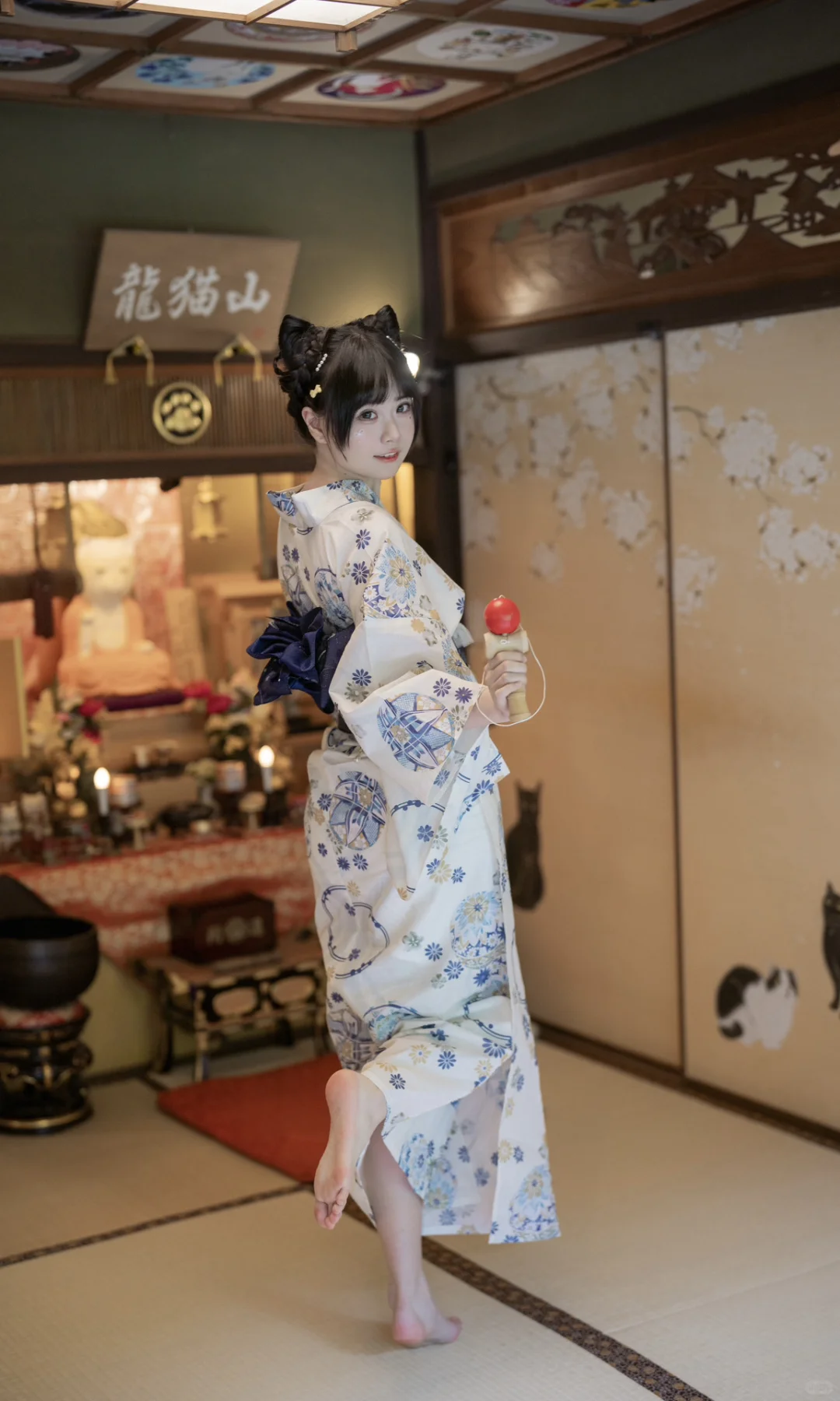 猫猫寺里见猫猫🐱