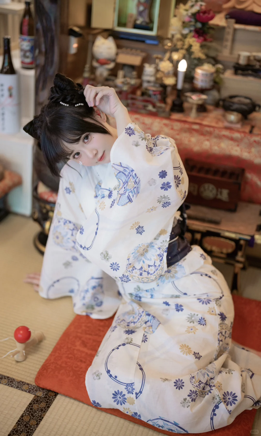 猫猫寺里见猫猫🐱