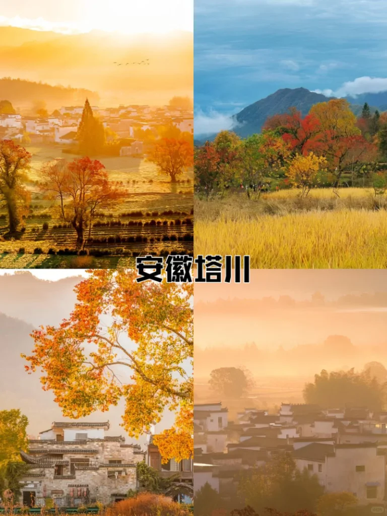 国家地理认证！9 - 11月国内5大赏秋天花版