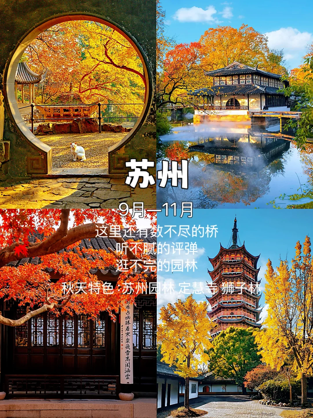 这个秋天，你打算去哪个城市玩