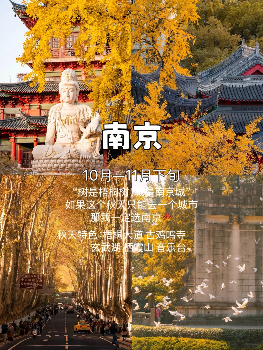 这个秋天，你打算去哪个城市玩