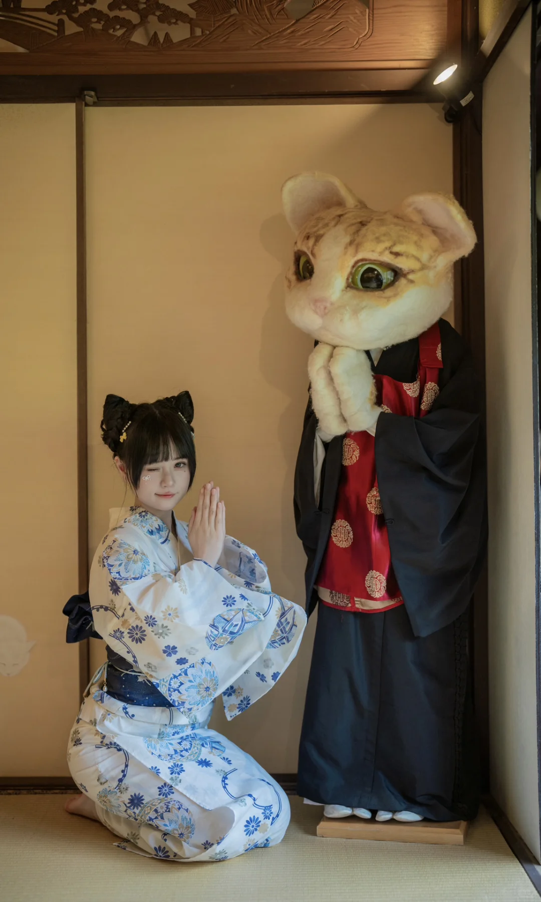 猫猫寺里见猫猫🐱