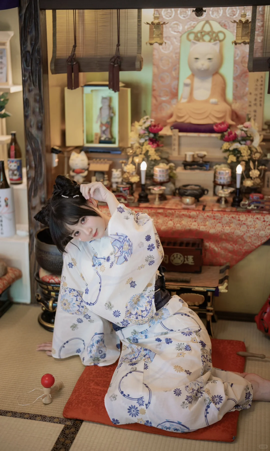 猫猫寺里见猫猫🐱