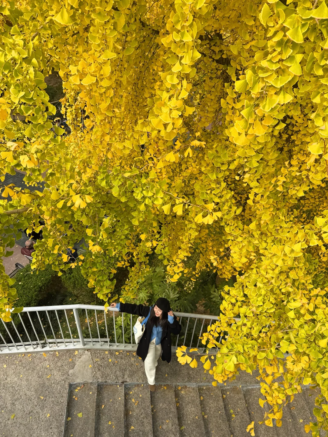 可惜你不来武汉❗️不知道武汉的秋天多浪漫🍂