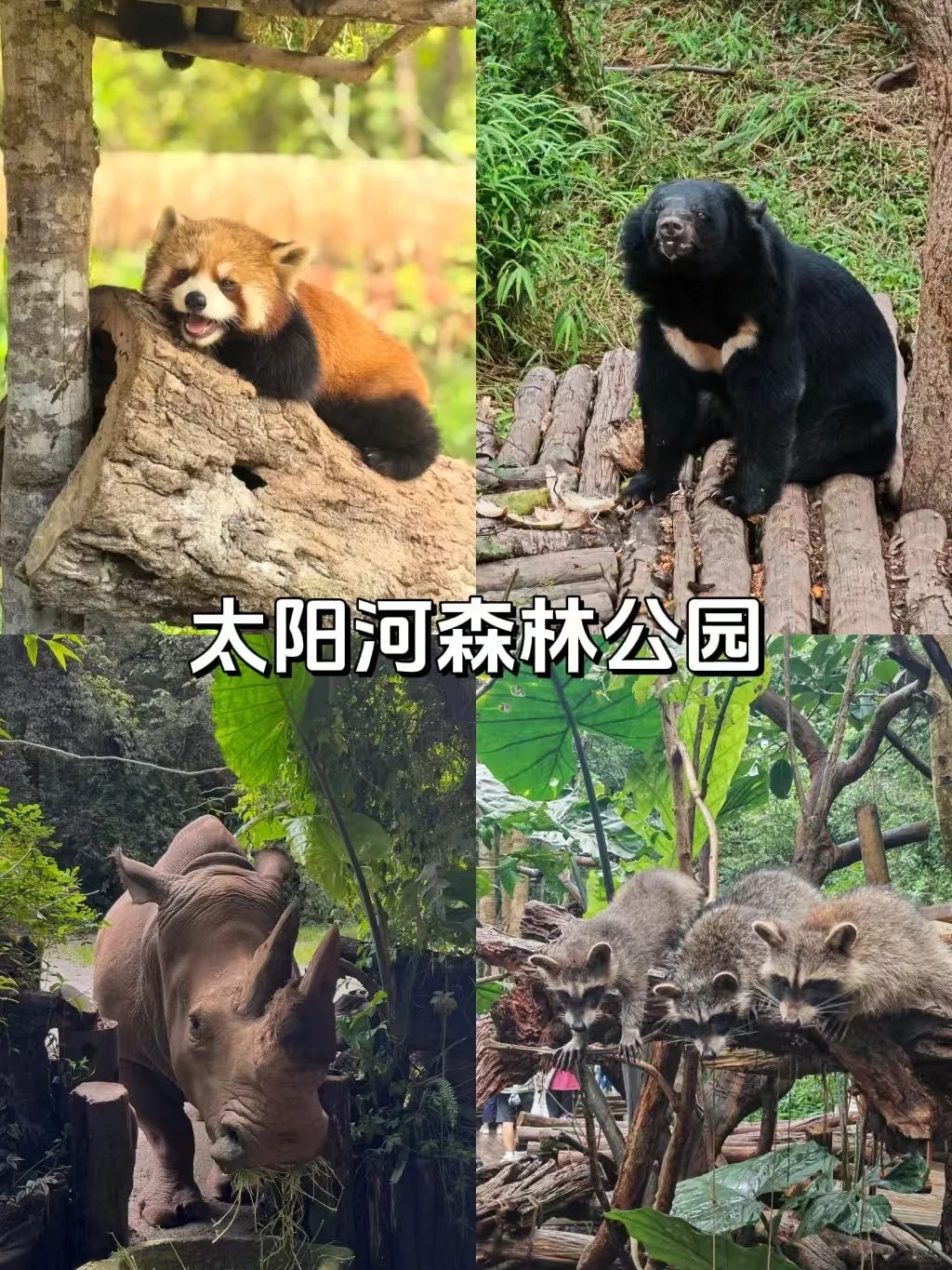 普洱旅游必打卡景点!小众又好玩❗️