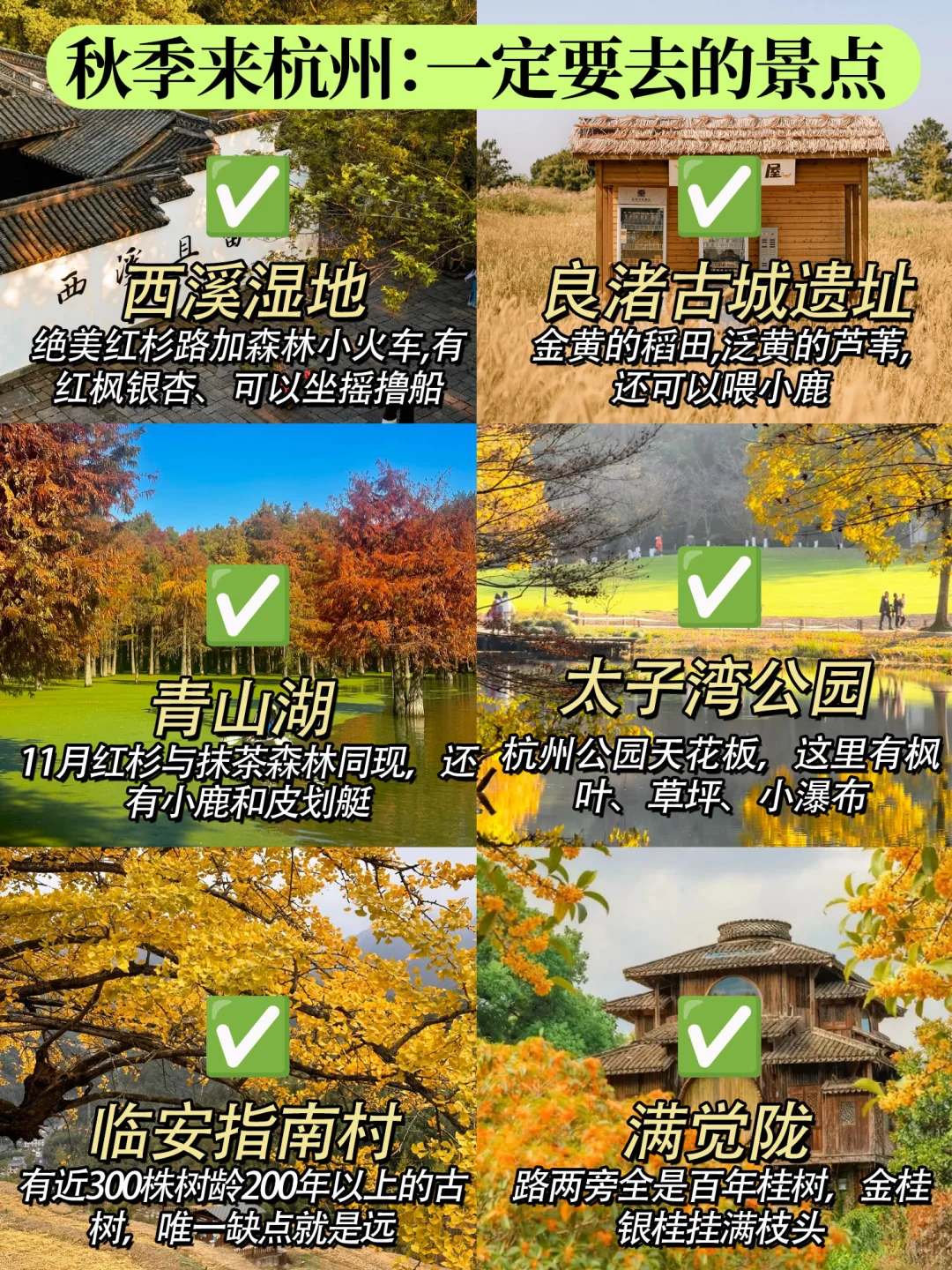 杭州人私藏!这些秋季景点🔥必收藏