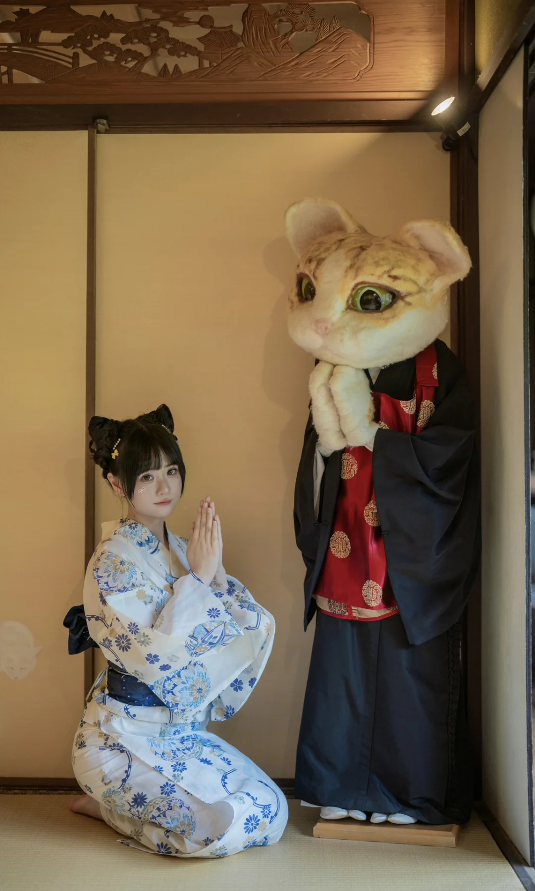 猫猫寺里见猫猫🐱