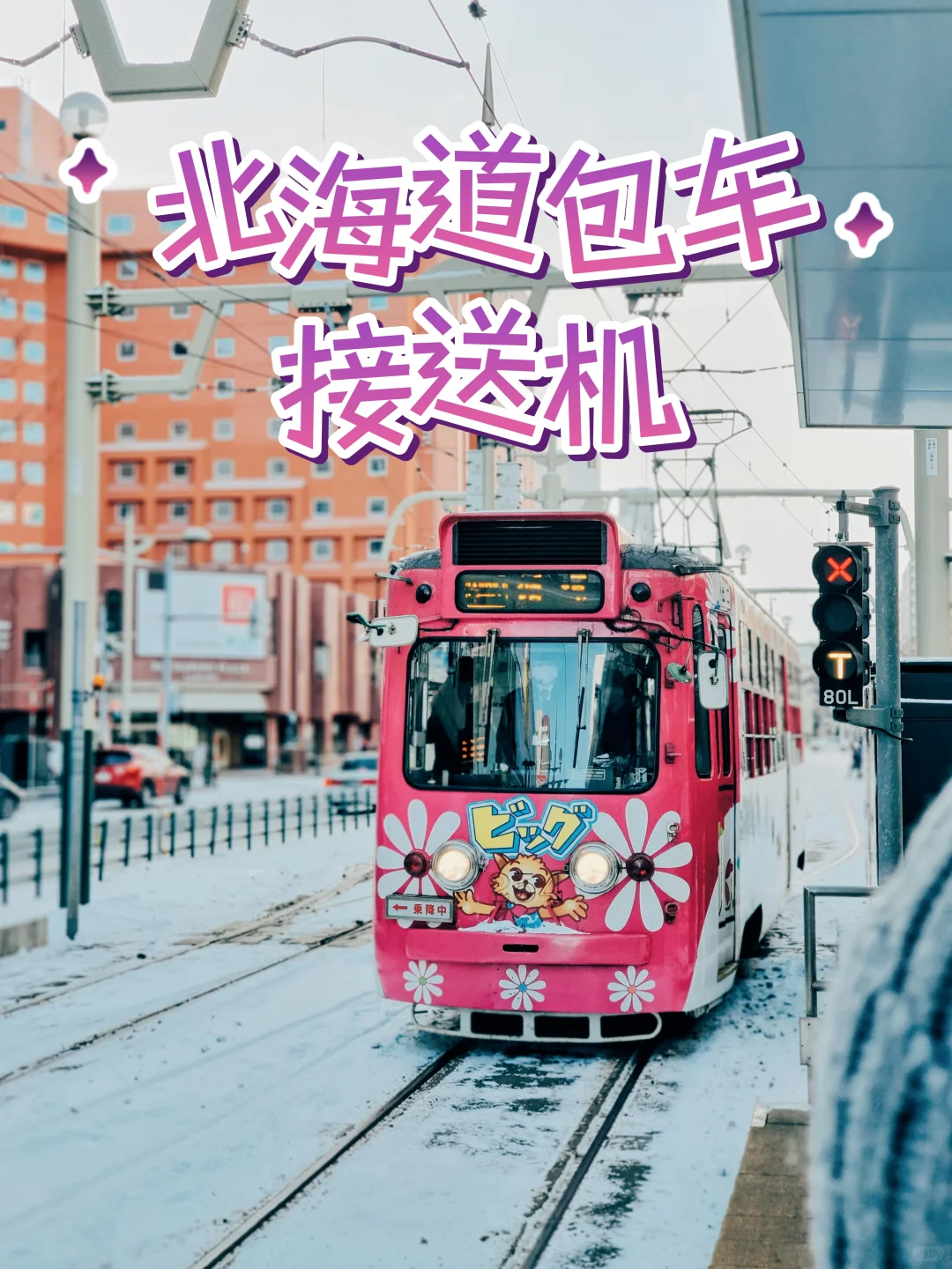 日本北海道包车游|接送机,景点➕项目都可