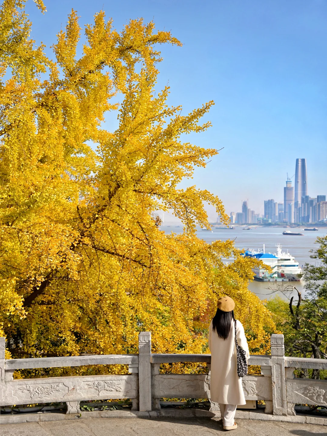 可惜你不来武汉❗️不知道武汉的秋天多浪漫🍂