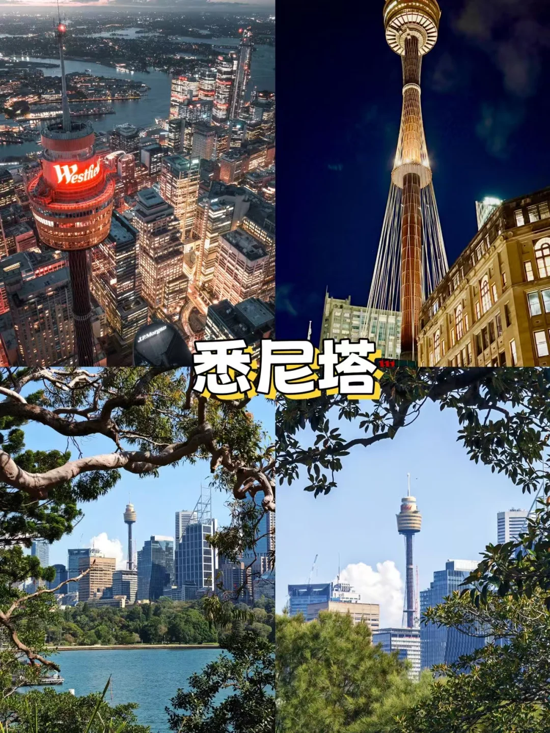 🌟悉尼市区必打卡!10个神仙景点+私藏玩法