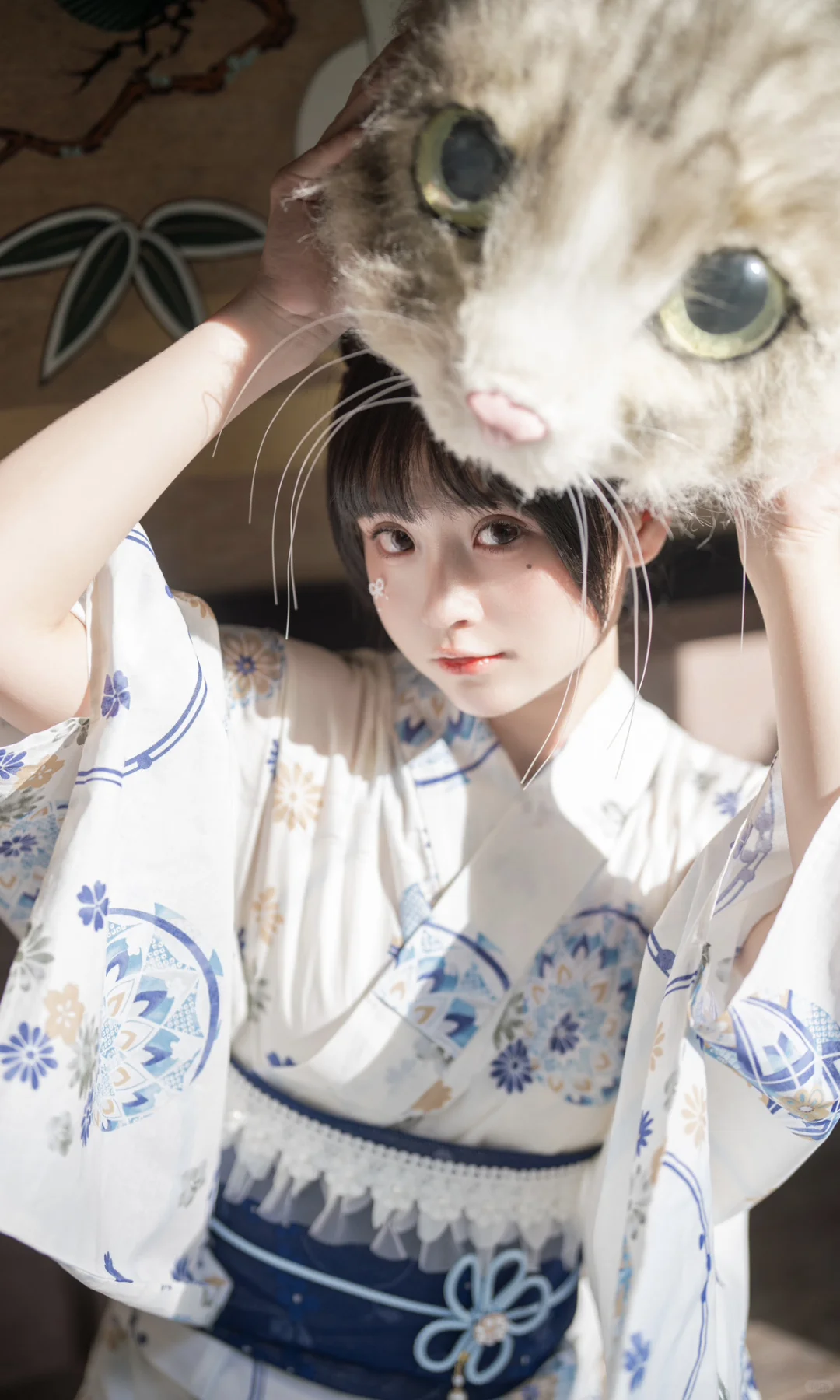 猫猫寺里见猫猫🐱