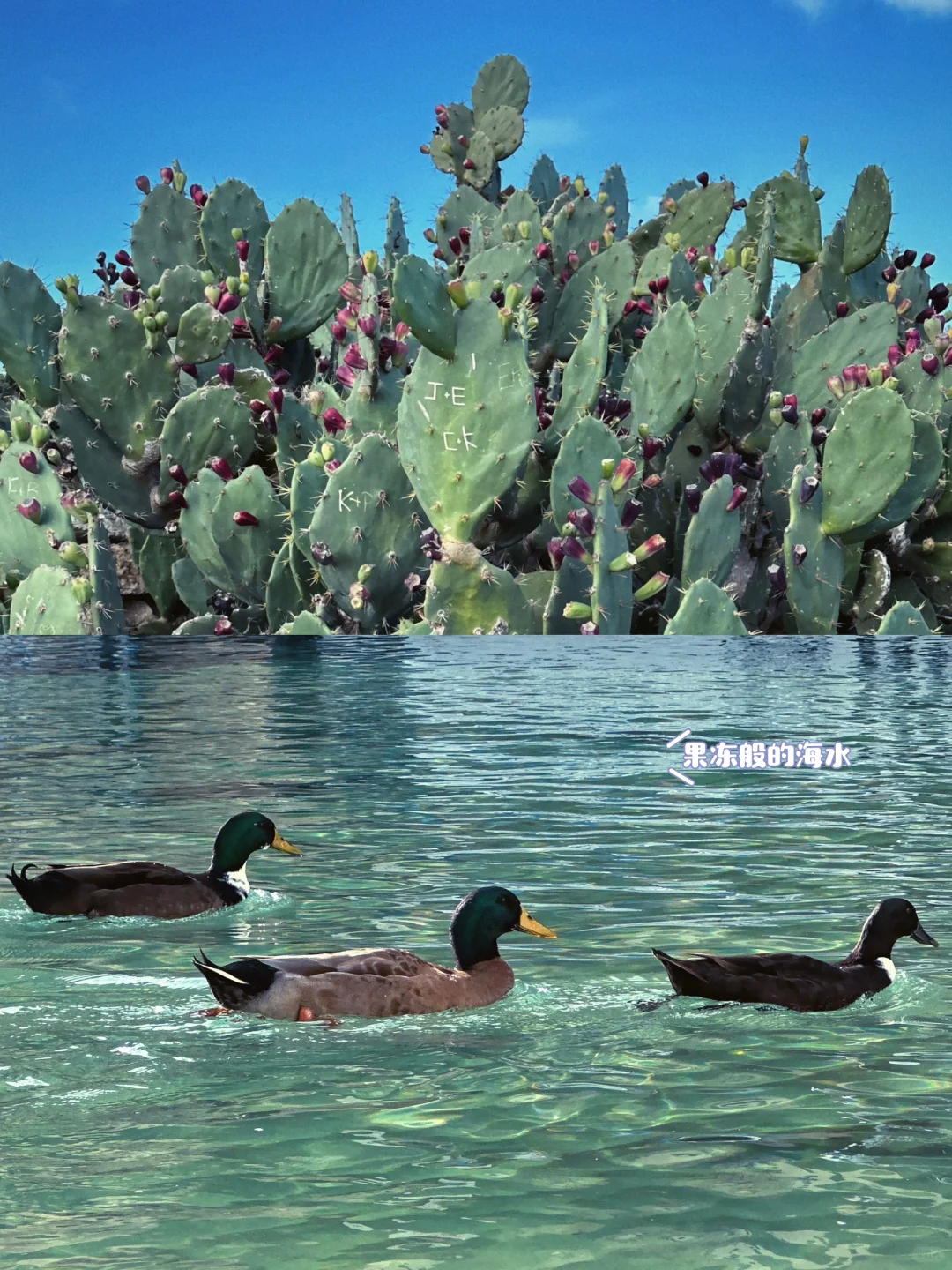 ✨ Day1-2 | 马耳他跨年攻略⬆️:初遇地中海蓝