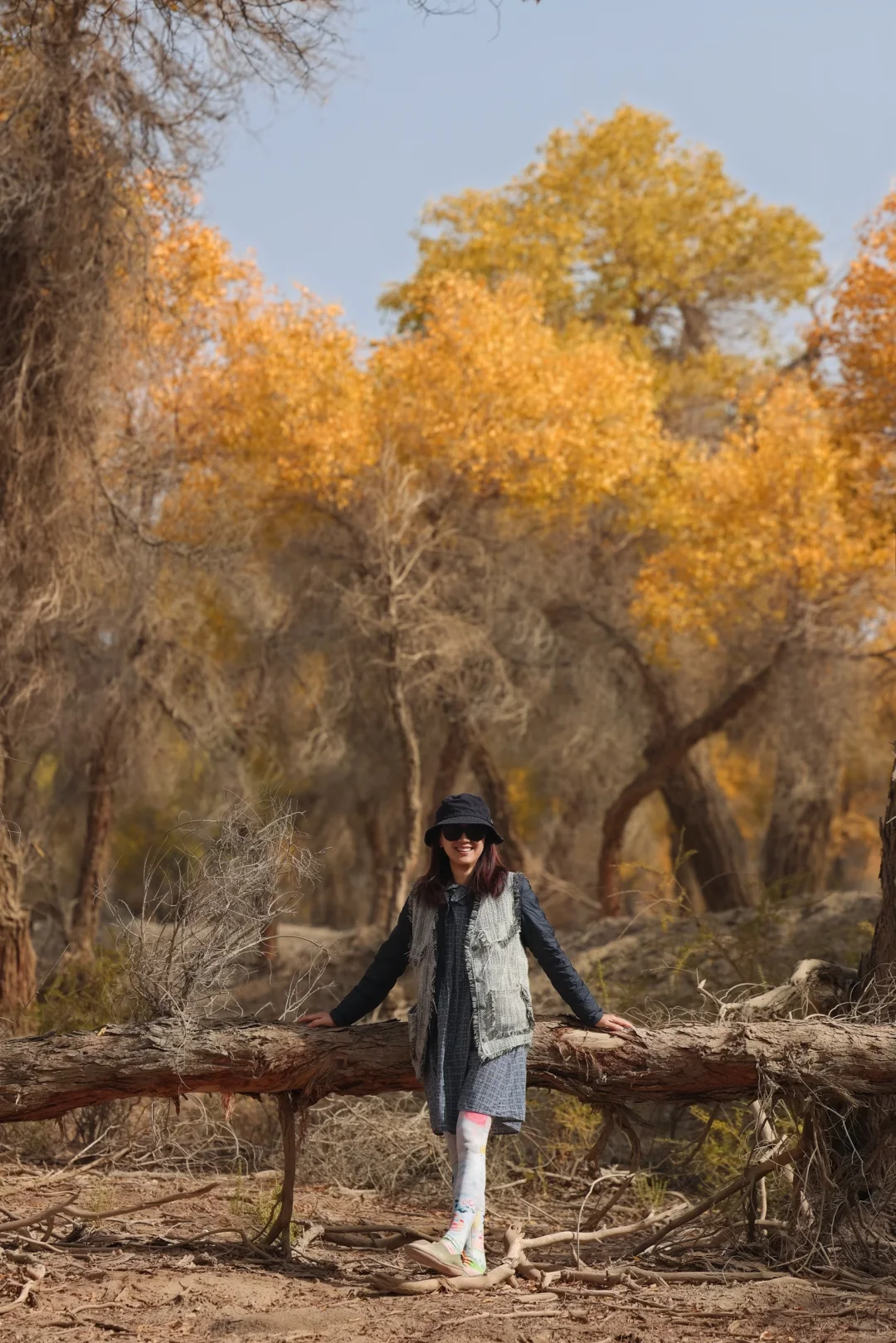 南疆139胡杨秘境自驾公路真的推荐！