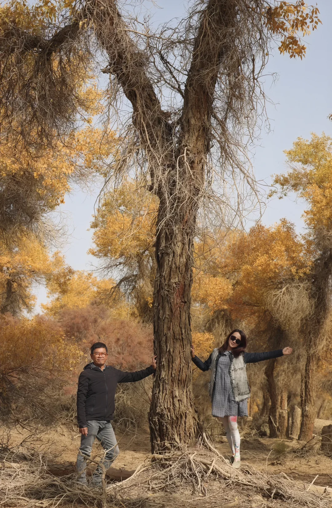 南疆139胡杨秘境自驾公路真的推荐！