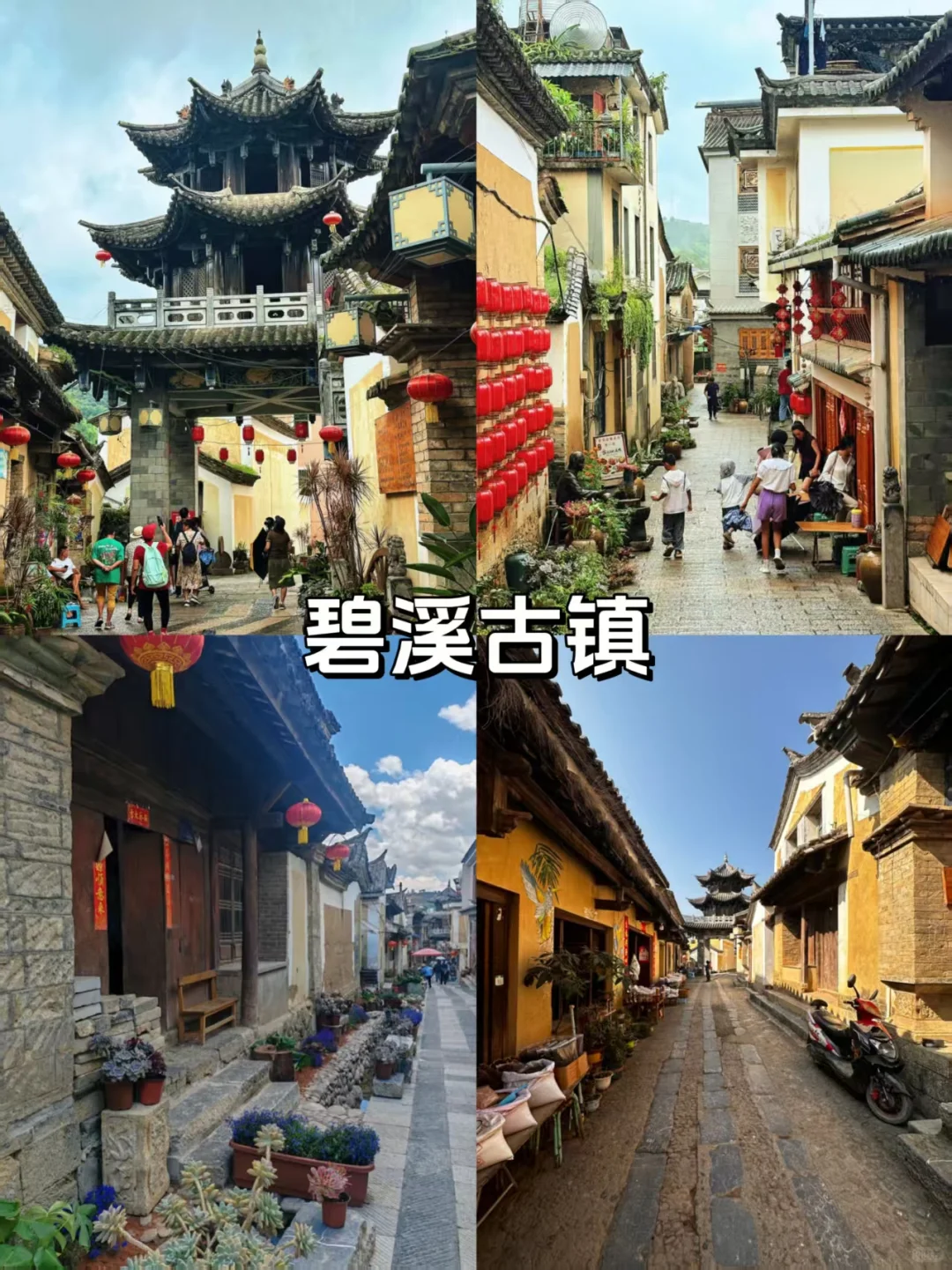 普洱旅游必打卡景点!小众又好玩❗️