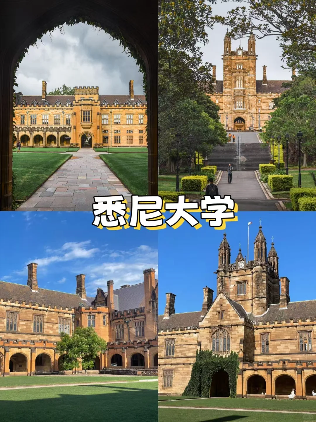 🌟悉尼市区必打卡!10个神仙景点+私藏玩法
