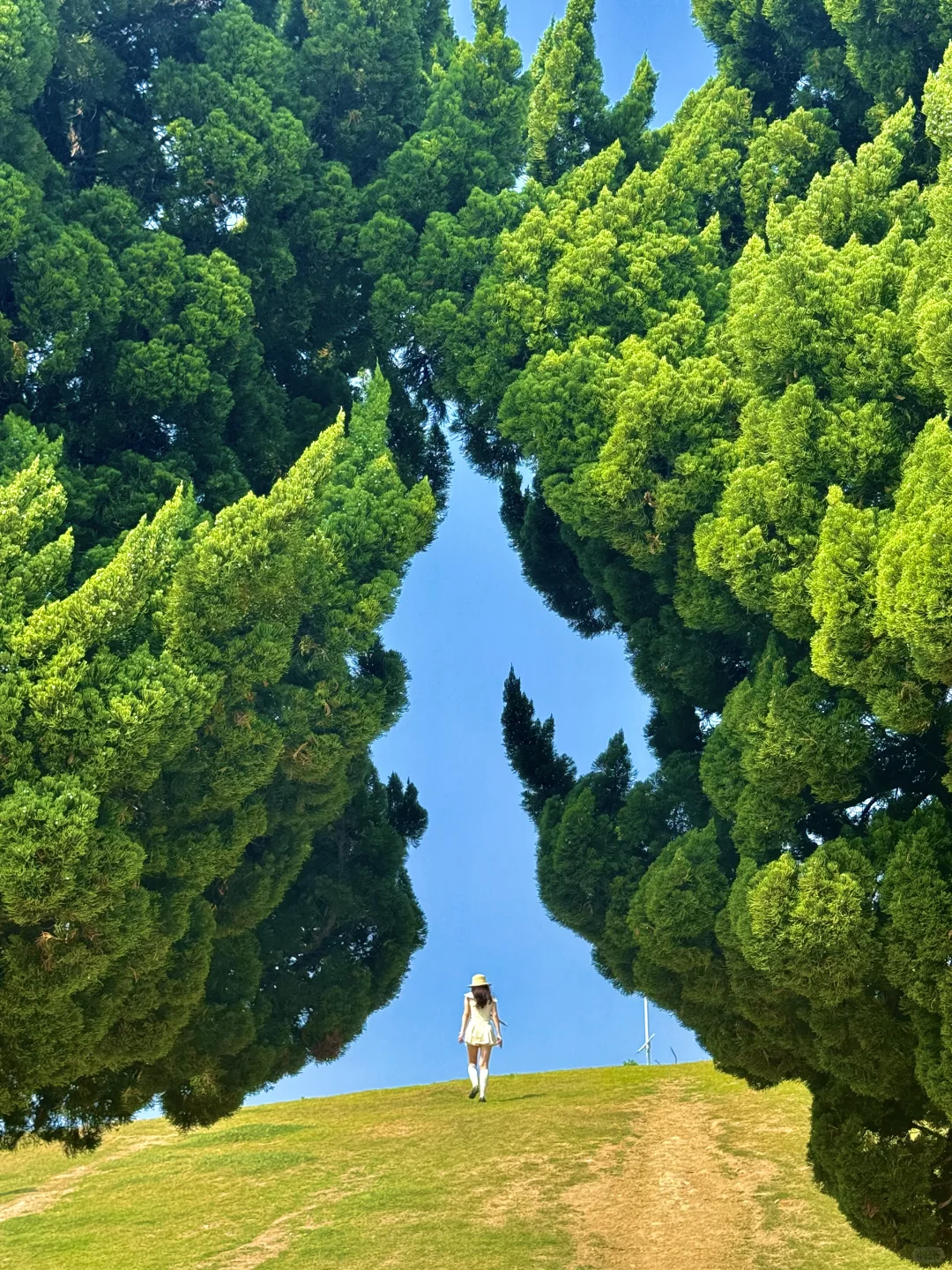 青岛!!果然坠好看的景点都是免费的!!附定位