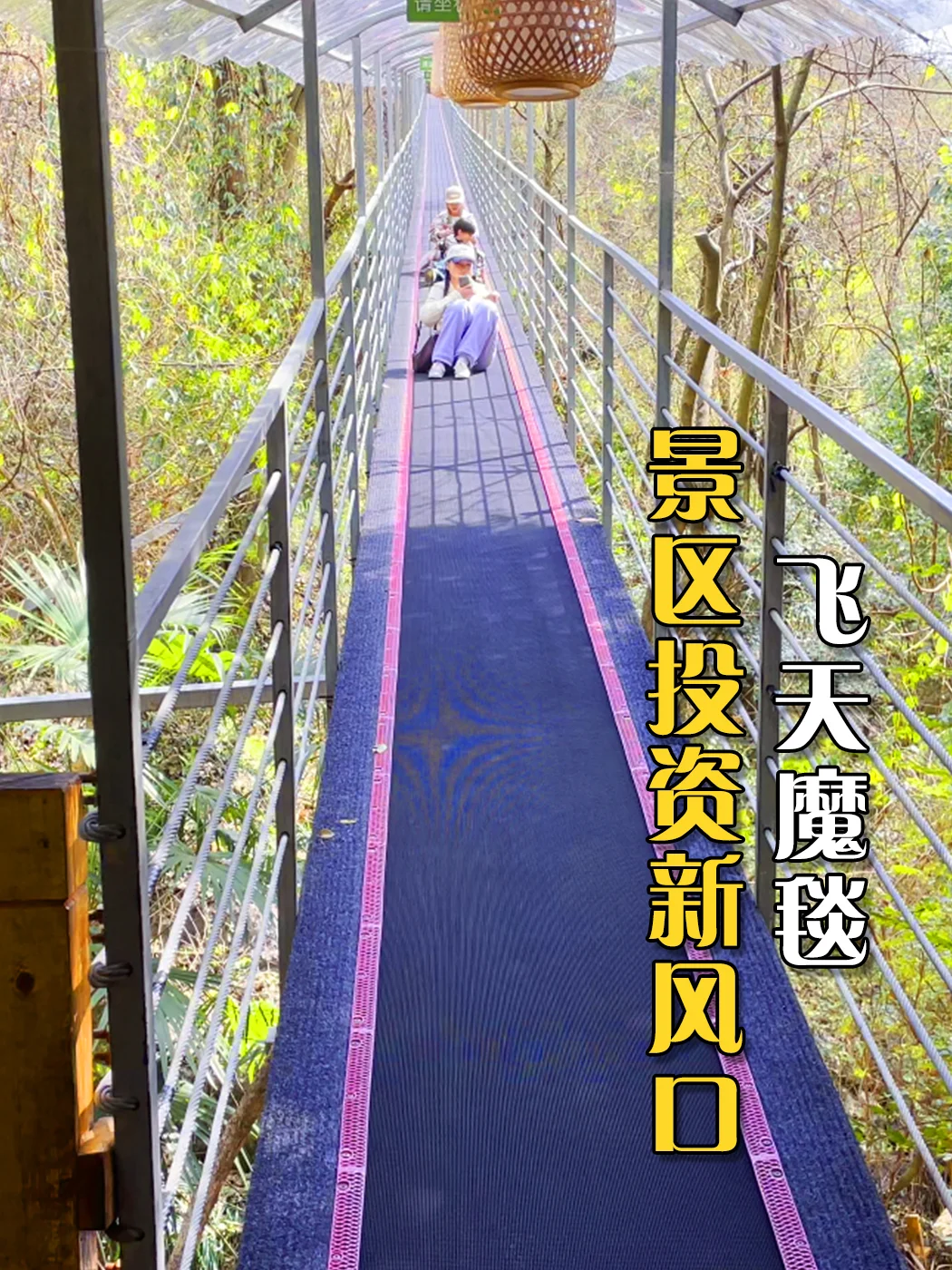 飞天魔毯 景区投资新风口