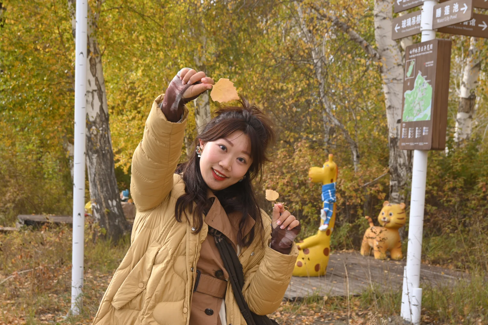 五彩斑斓的秋🍁