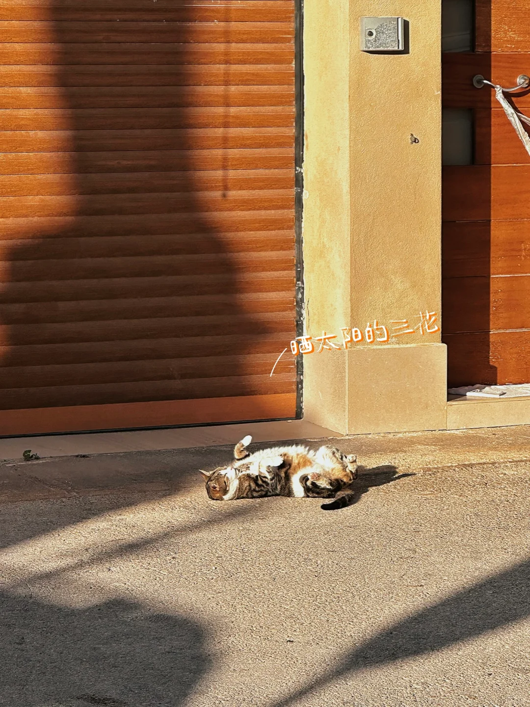 ✨ Day1-2 | 马耳他跨年攻略⬆️:初遇地中海蓝