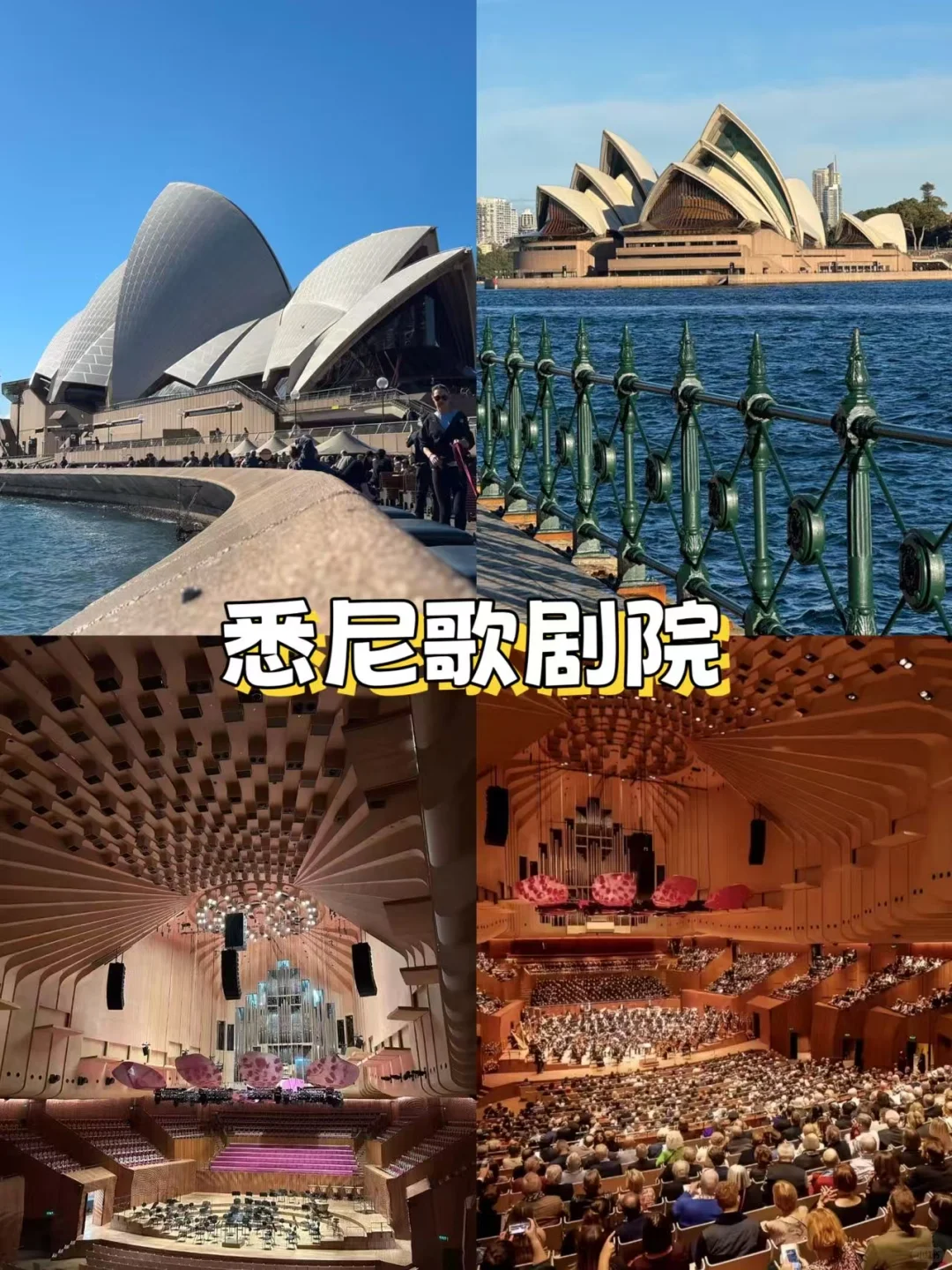 🌟悉尼市区必打卡!10个神仙景点+私藏玩法