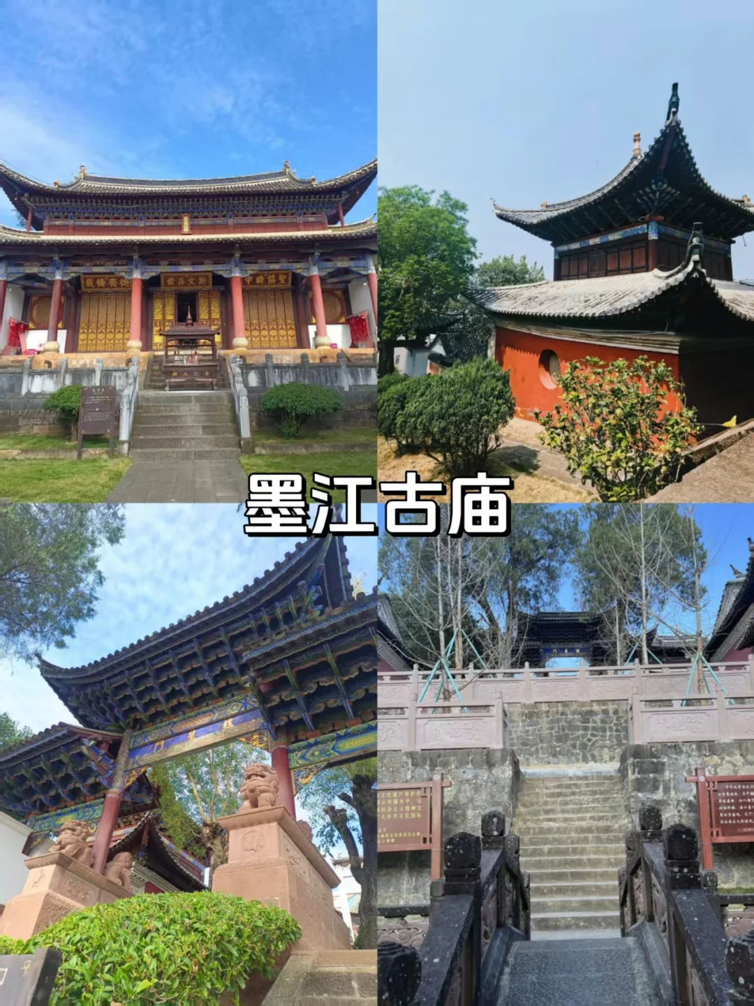 普洱旅游必打卡景点!小众又好玩❗️
