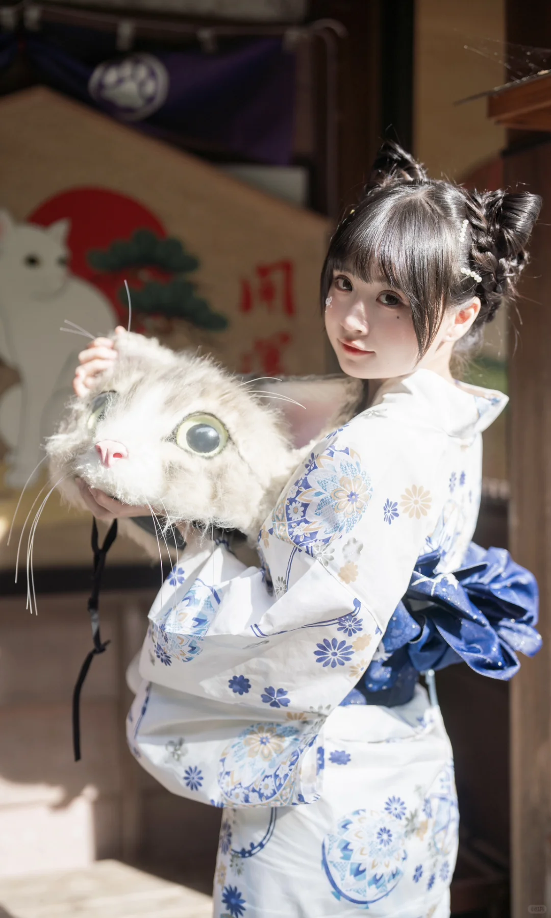 猫猫寺里见猫猫🐱