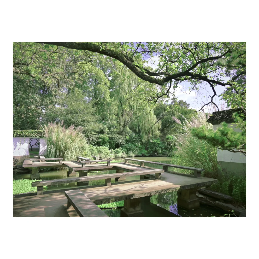 南京｜寻找失落的大象朋友🐘含路线❣️