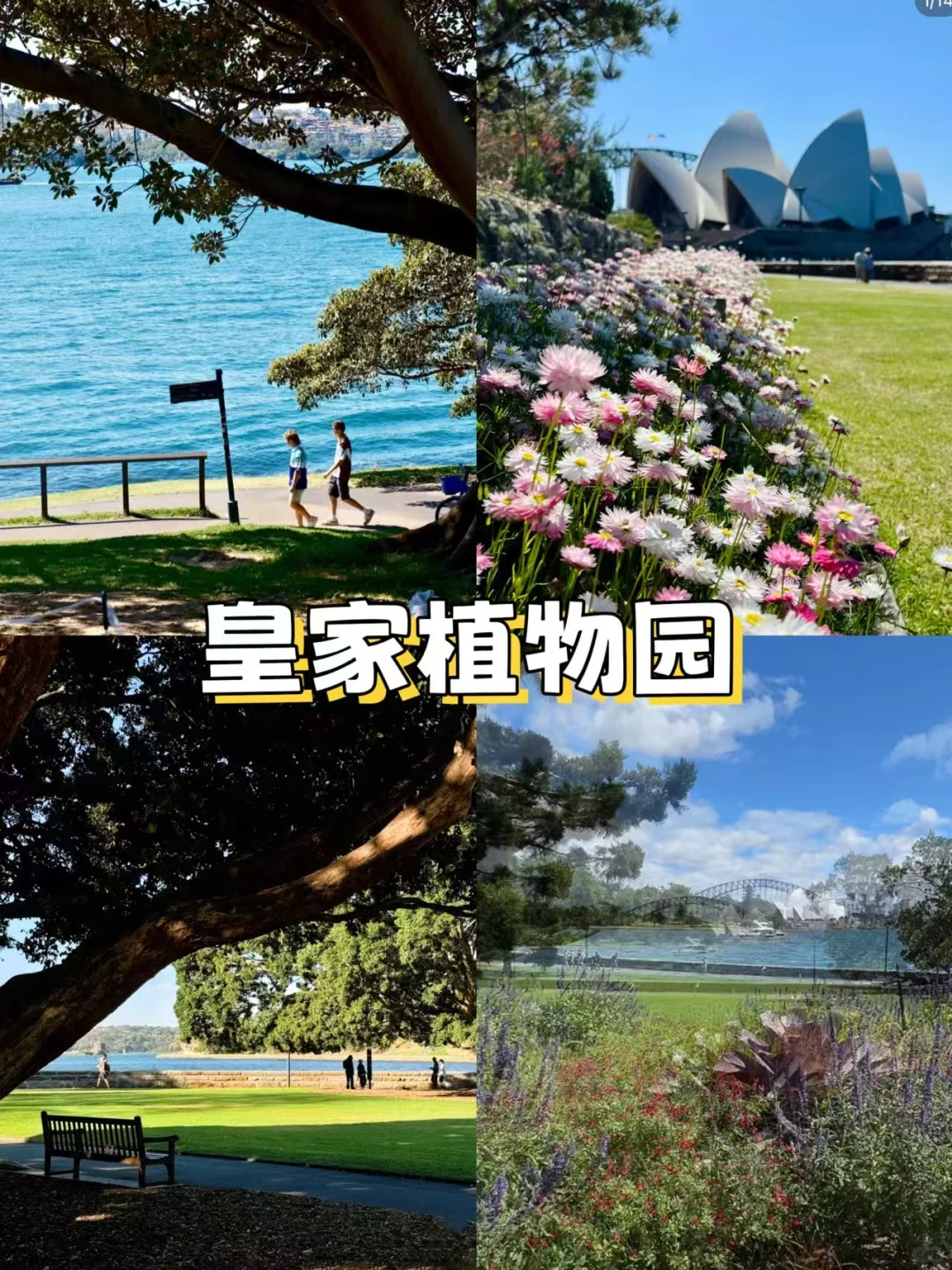 🌟悉尼市区必打卡!10个神仙景点+私藏玩法