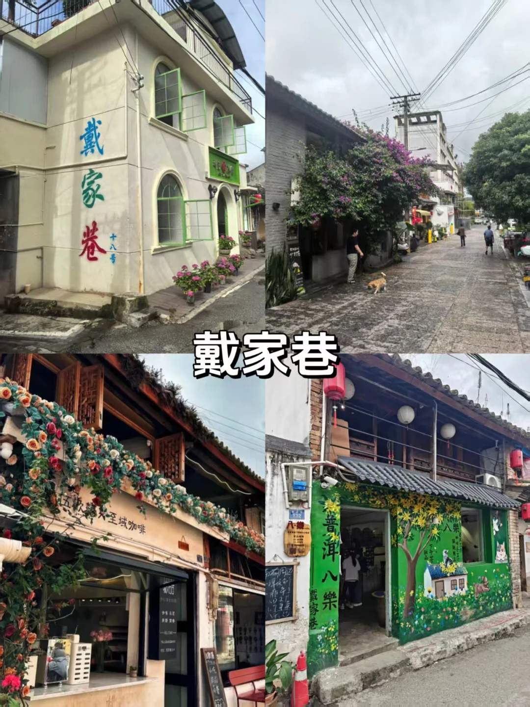 普洱旅游必打卡景点!小众又好玩❗️