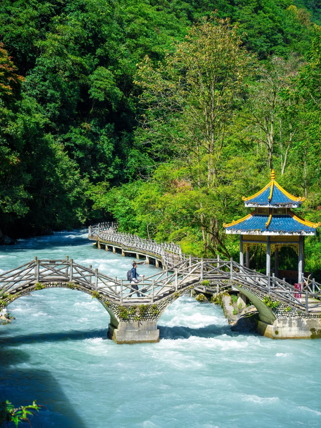 国庆反向旅游🍃成都出发3h抵达绿野仙踪