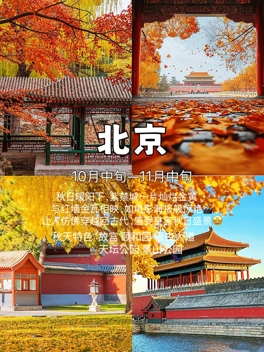 这个秋天，你打算去哪个城市玩