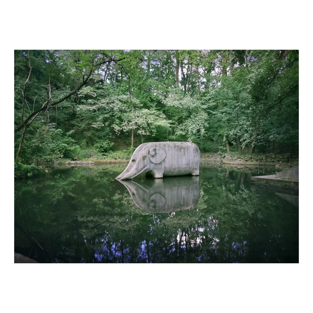 南京｜寻找失落的大象朋友🐘含路线❣️