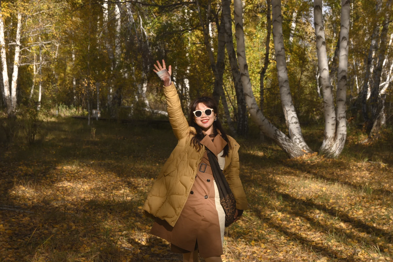 五彩斑斓的秋🍁