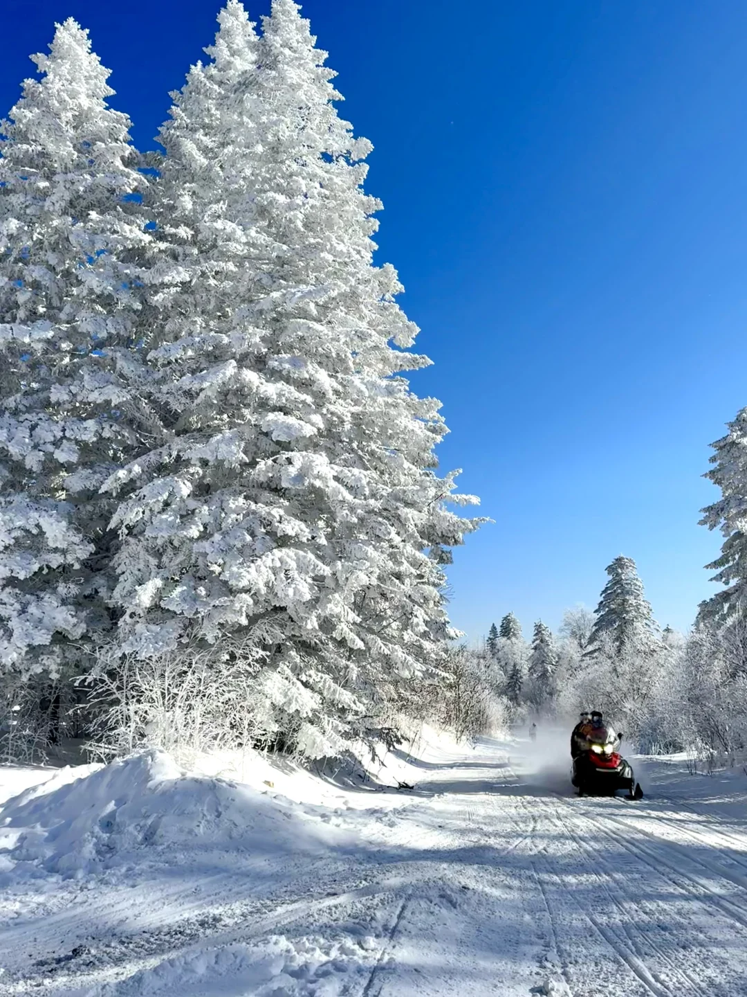 11月底将迎来长白山最美的时刻❄️
