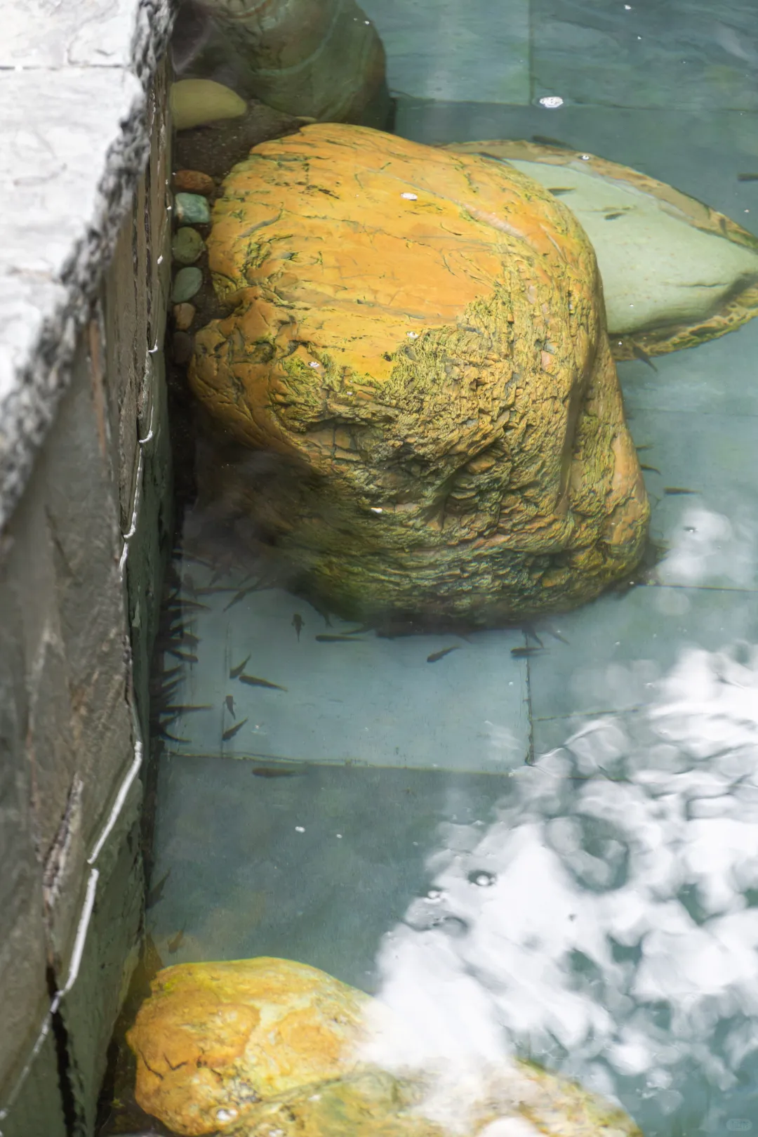 龙胜温泉！泡汤还能喝的神仙地