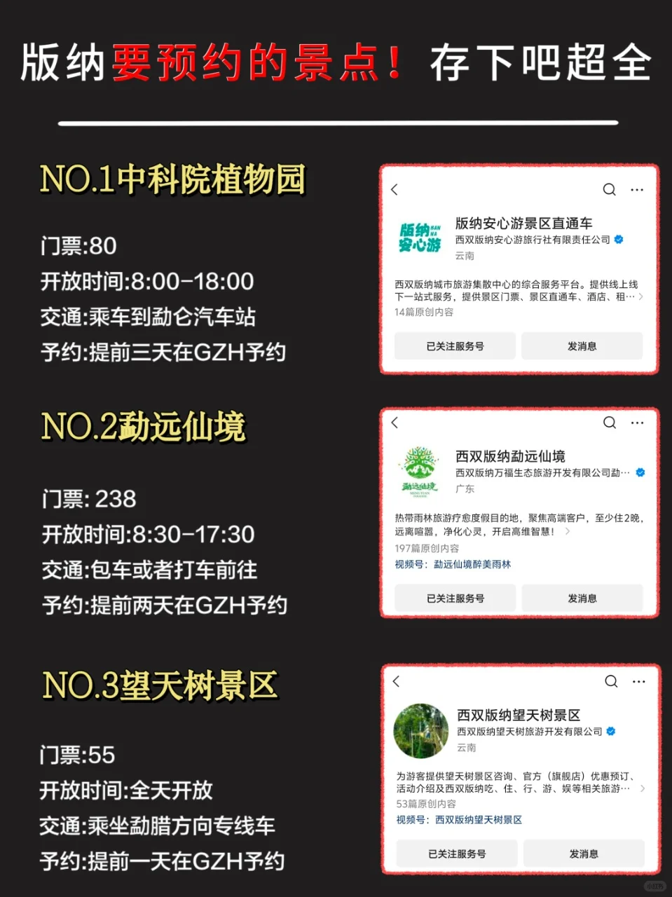 去版纳前,听点不一样的大实话...