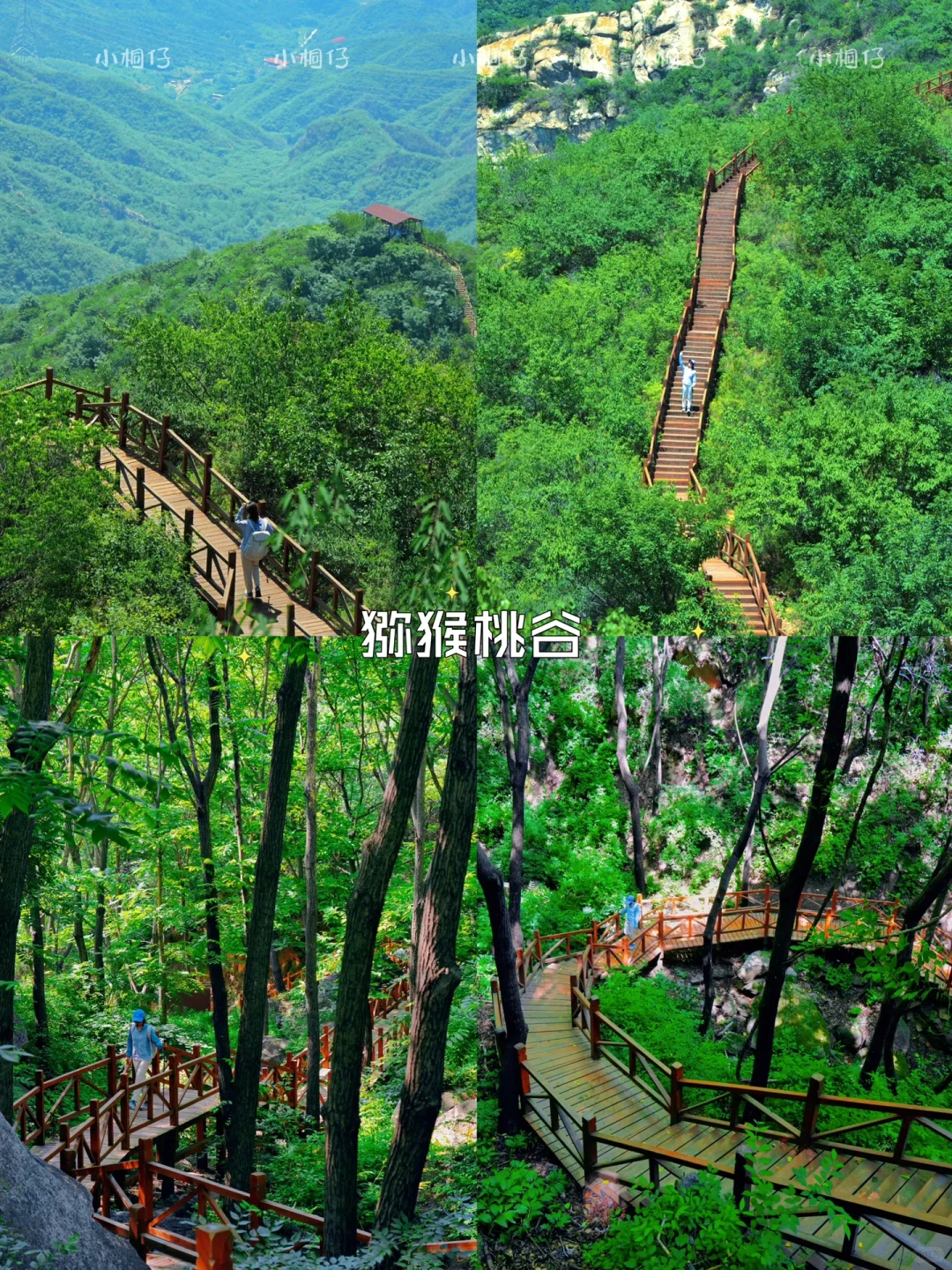 北京周边游|2h内🉑到达的🔟个小众避暑地🍃