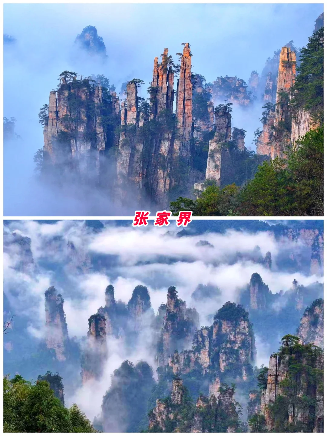 湖南旅游第14站 | 张家界最值得去的8个景点