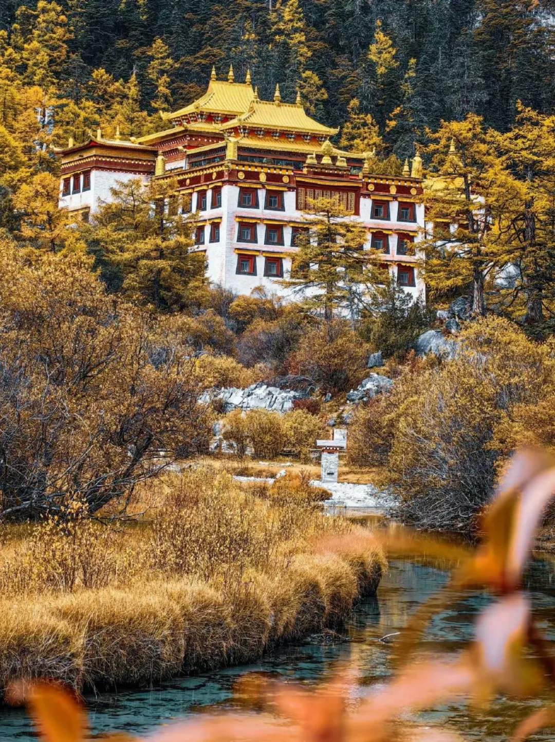 稻城亚丁的秋天，人间值得🍁