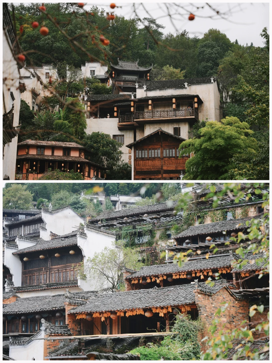 📍婺源篁岭，话说真的是5A级景区吗🤨