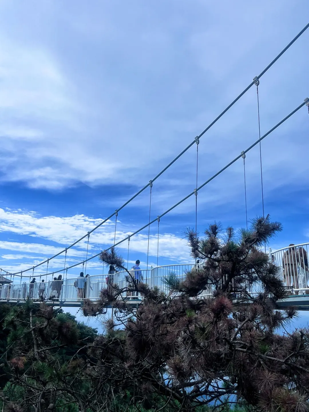 在临沂！龟蒙景区游玩全攻略来啦！