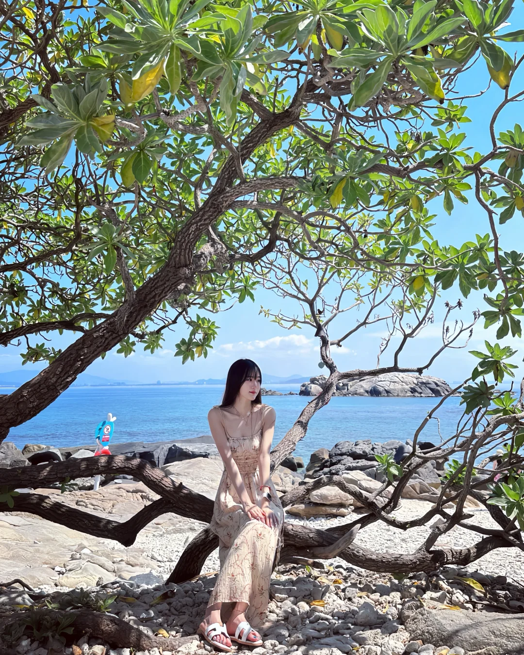 蜈支洲岛city walk 保姆级攻略‼️