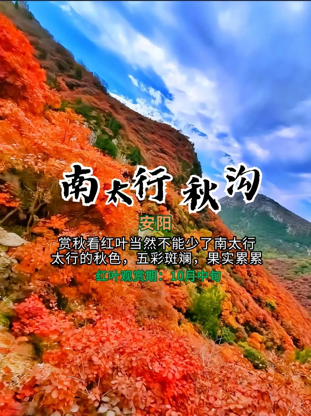打卡！河南红叶赏秋攻略来了